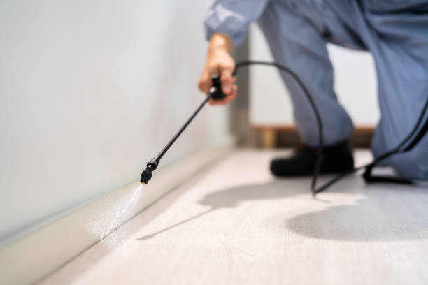 Licensed Cockroach Control service in New Iberia, LA - Nex Pest Control