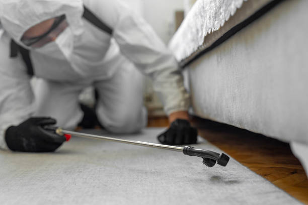 Professional Cockroach Control technician working in New Iberia, LA
