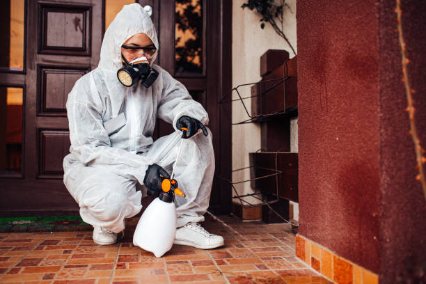 Reliable Cockroach Control contractor in New Iberia, LA by Nex Pest Control
