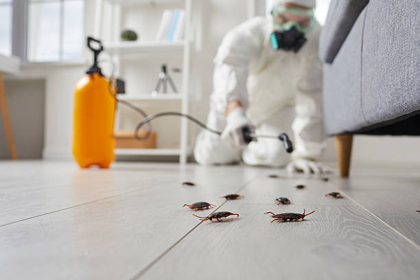 Affordable Cockroach Control solutions in New Iberia, LA